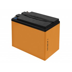 Green Cell, Green Cell LiFePO4 12.8V 38Ah battery with charger, LiFePO4 battery, GC164-CAV14